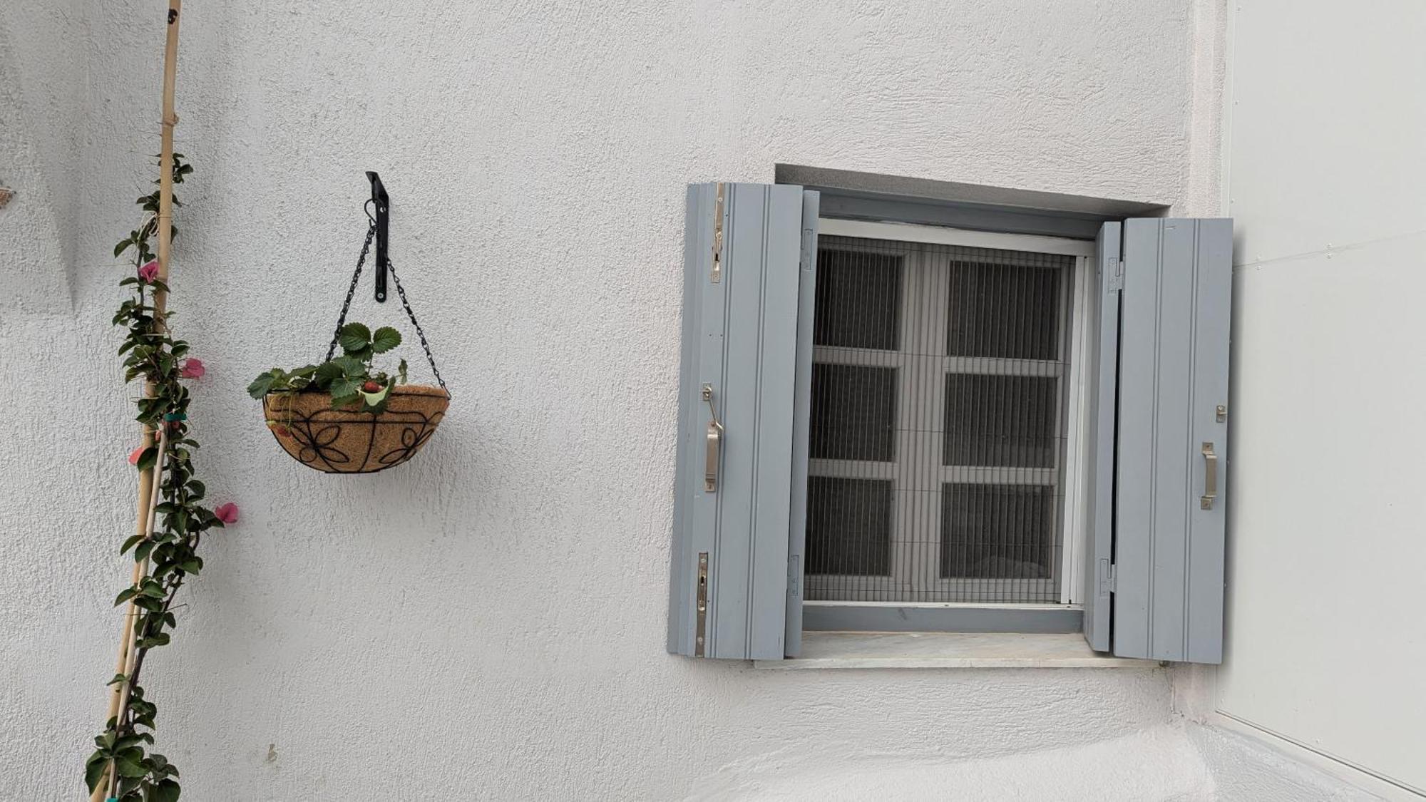 The Botanist Guesthouse Skopelos stad Exteriör bild