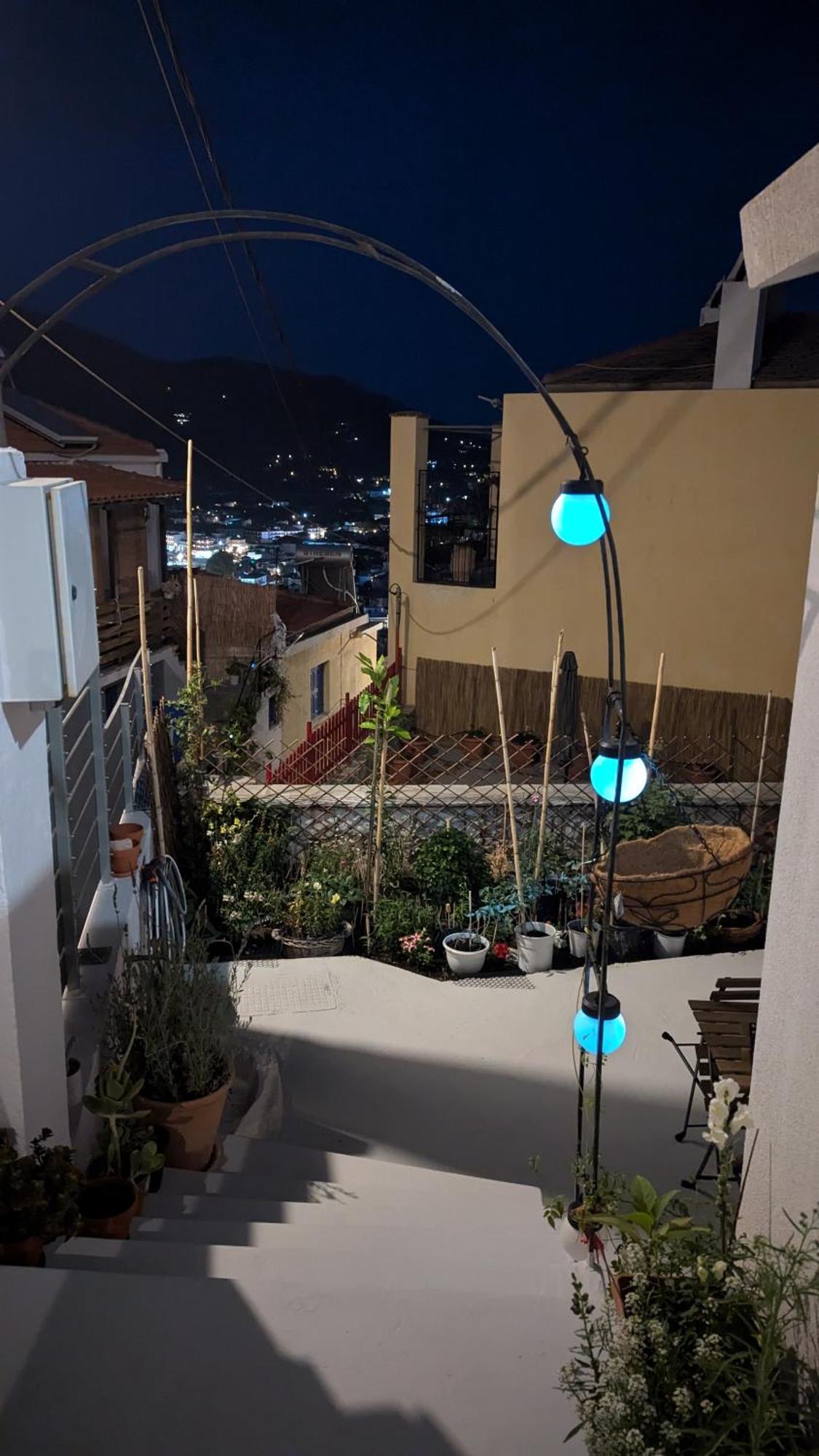 The Botanist Guesthouse Skopelos stad Exteriör bild