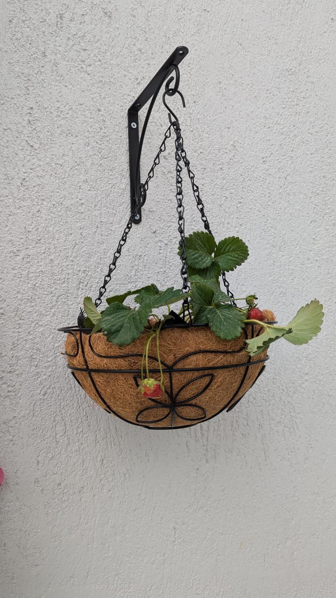 The Botanist Guesthouse Skopelos stad Exteriör bild