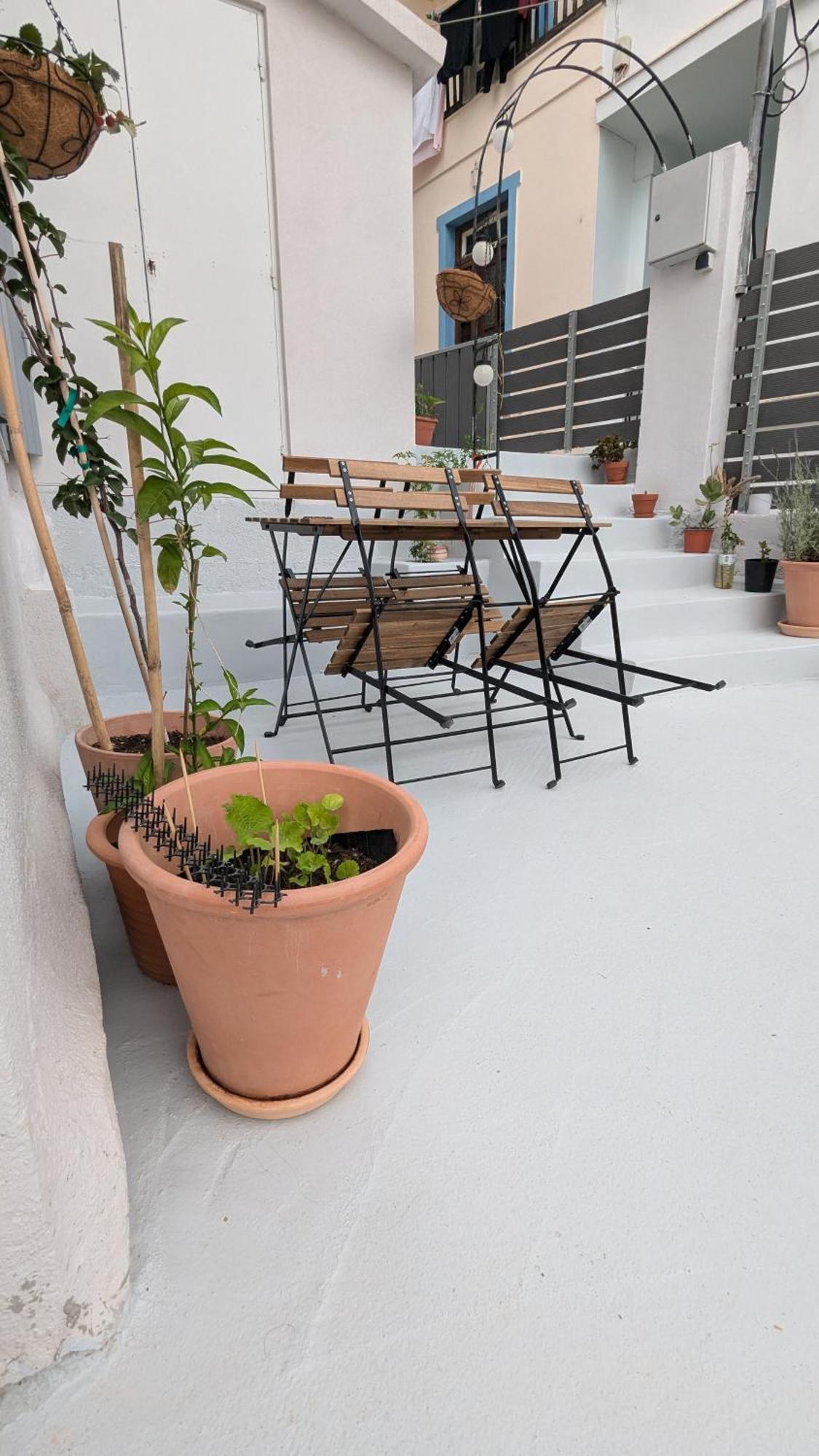 The Botanist Guesthouse Skopelos stad Exteriör bild